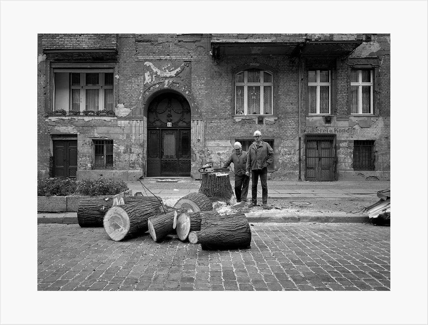 Harf Zimmermann "Hufelandstraße 1055 Berlin" #871000_06, Die Letzte von 38 Linden, gepflanzt 1904,
gefällt 1987